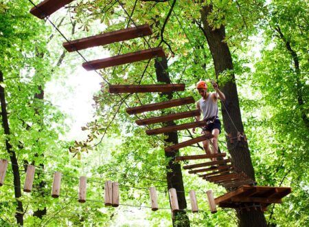 Treetop adventure trail